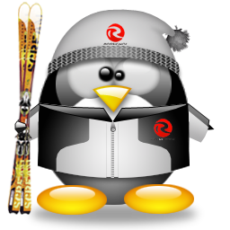 penguin pingouin pinguino 600